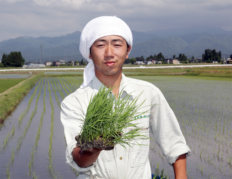 Shimomura Natural Rice Farm's representative, Mr. Shimomura