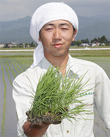 Shimomura Natural Rice Farm's representative, Mr. Shimomura
