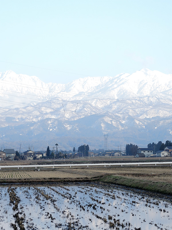 Panorama de la chaîne de montagne de TATEYAMA depuis la rizière de Monsieur SHIMOMURA